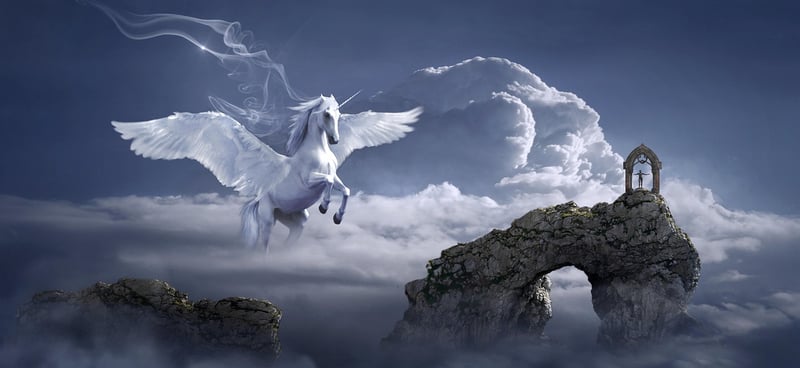 Fairy Wings